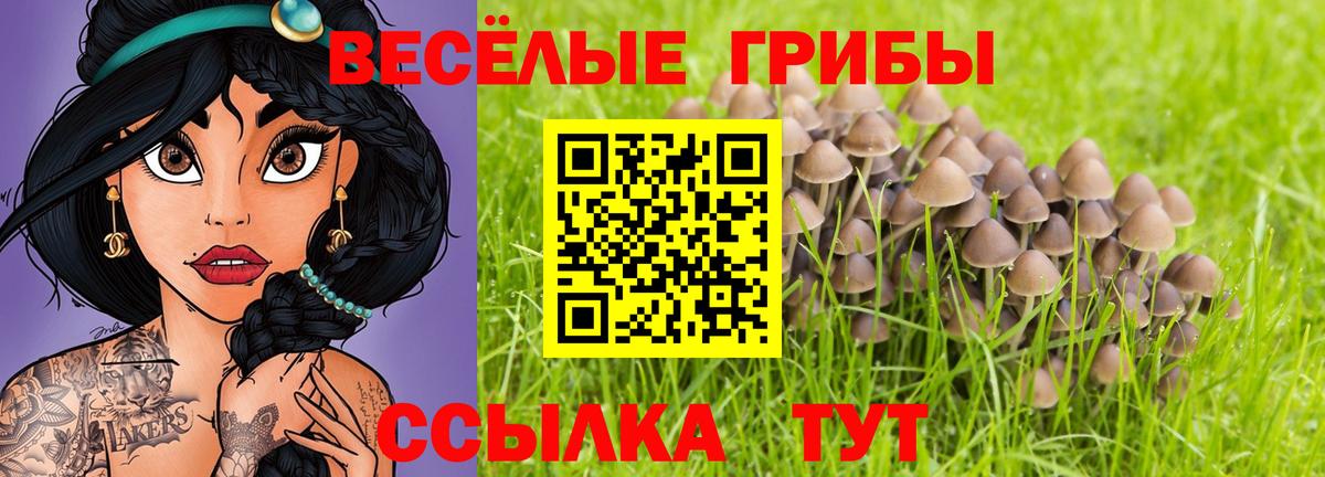 Псилоцибиновые грибы Psilocybe Рыбинск